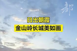 全明星该改成国际队VS美国队？华子：约东帝字唐亚不够组成国际队